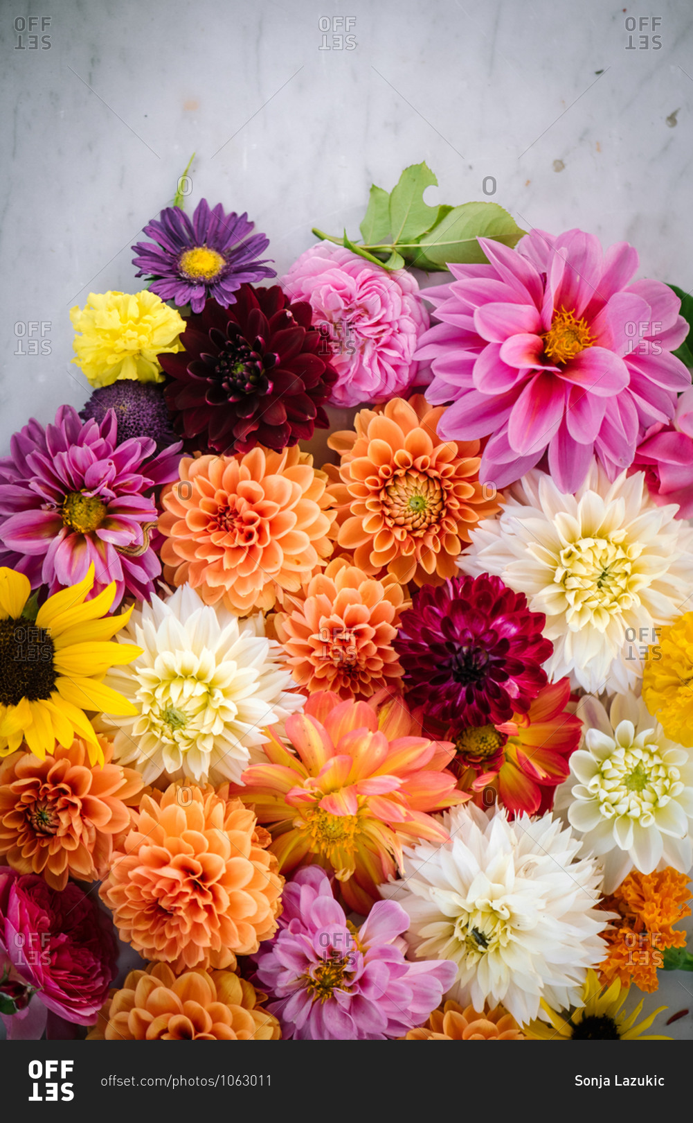 Close up of a beautiful and vibrant floral arrangement