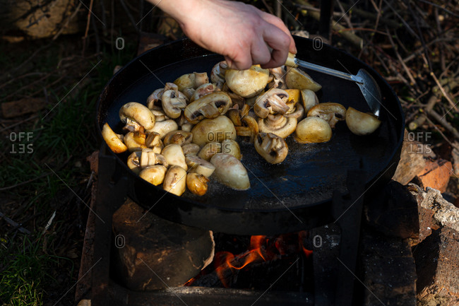 Preparing mushrooms on open fire outdoor