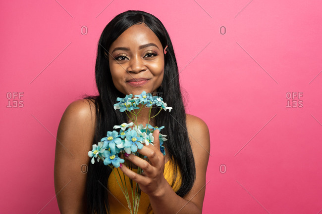 Happy young African American female with long dark hair enjoying smell of delicate flowers against pink background looking at camera
