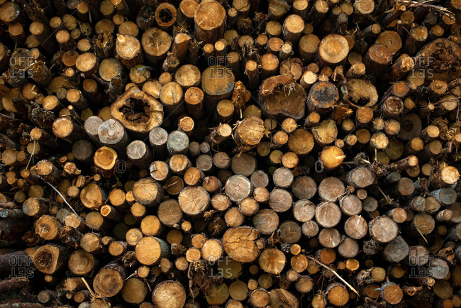 Pile of cut tree trunks and branches arranged together in forest as abstract background