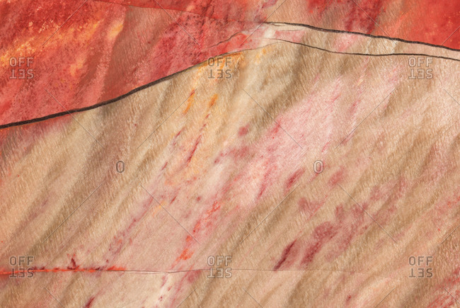 Close up photograph of the structural detail in a piece of sliced and polished petrified wood from Mexico