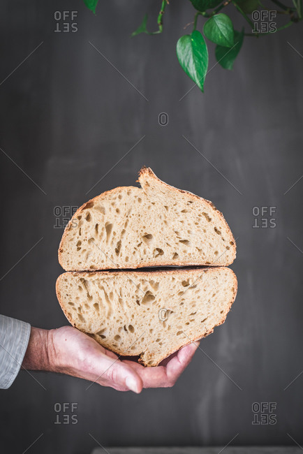 Crop anonymous person demonstrating cut delicious fresh baked bread loaf against gray background in kitchen