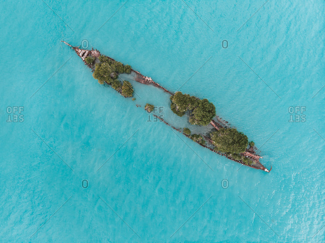 Aerial view of a shipwreck with trees growing on it, located off the coast on Magnetic Island,  Queensland, Australia