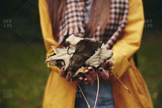Hands holding dried leaves to camera
