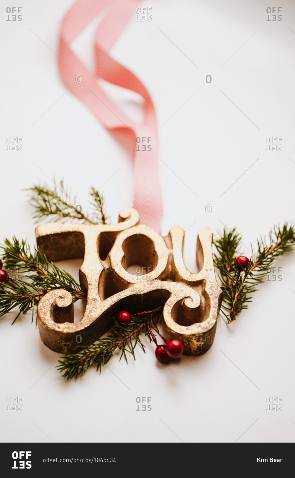 Close up of joy sign with ribbon on white background with pine branches and holly berries