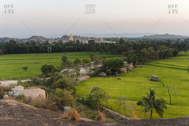 Bird's eye view of rice fields and palm trees at dusk in Hampi Island, India, Karnataka