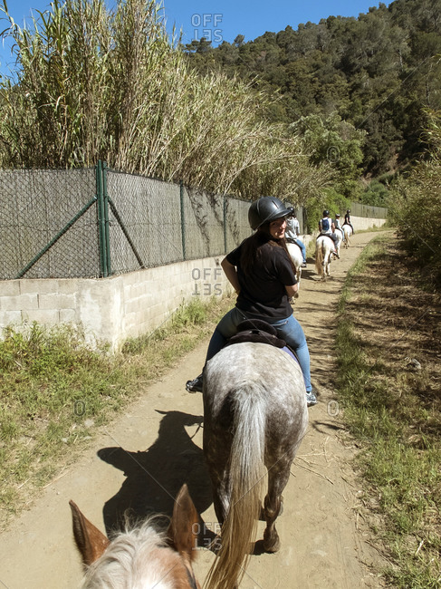 Back view of Group of horseback riders in pathway