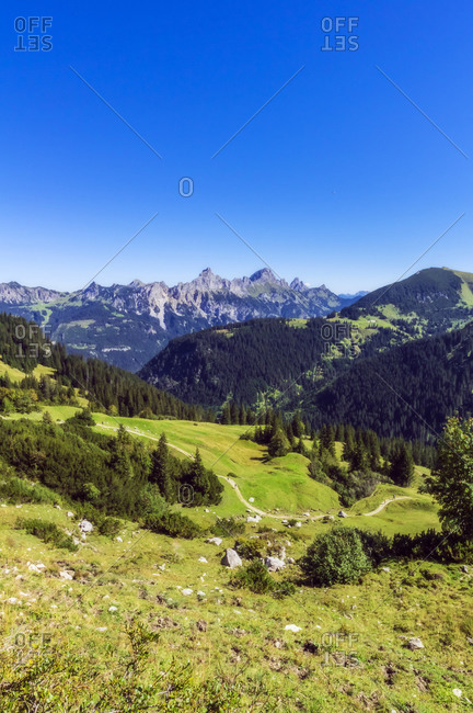 Scenic view of clear blue sky over forested valley in Tannheim Mountains