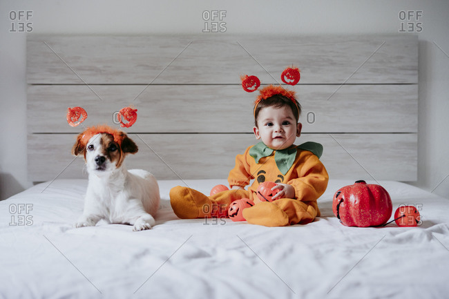 Cute baby boy and dog wearing Halloween costume sitting on bed at home