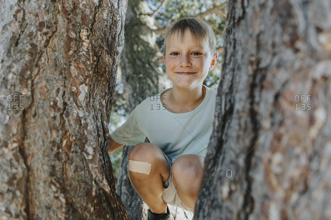 Boy peeking through branches of pine tree in public park on sunny day