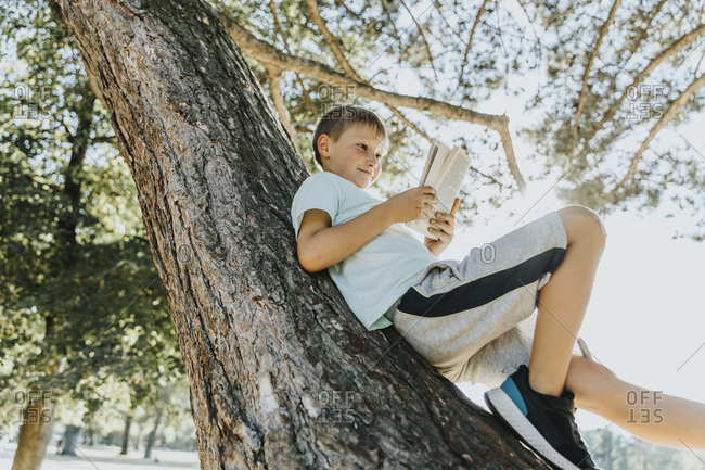 Boy reading book while lying on tree trunk in public park