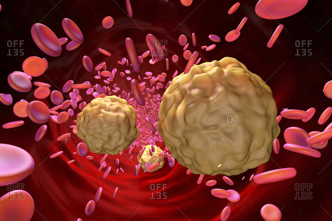 3D illustration of lymphocyte and blood cells