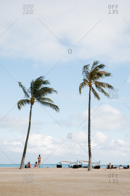 Honolulu, Oahu, Hawaii - March 18, 2020:  Beachgoers and boats on beach with tall palm trees on the coast