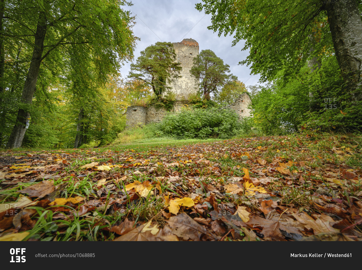 Germany- Baden-Wurttemberg- Bodman-Ludwigshafen- Fallen leaves lying on ground in autumn with ruins of Burg Altbodman standing in background