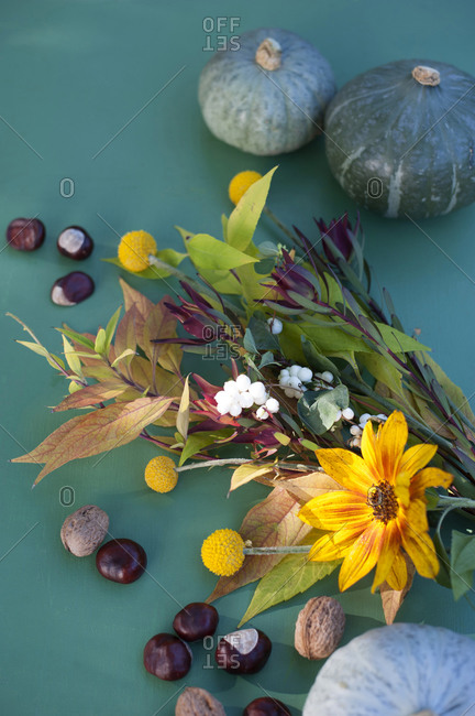 Autumn flora including nuts- pumpkins and flowers