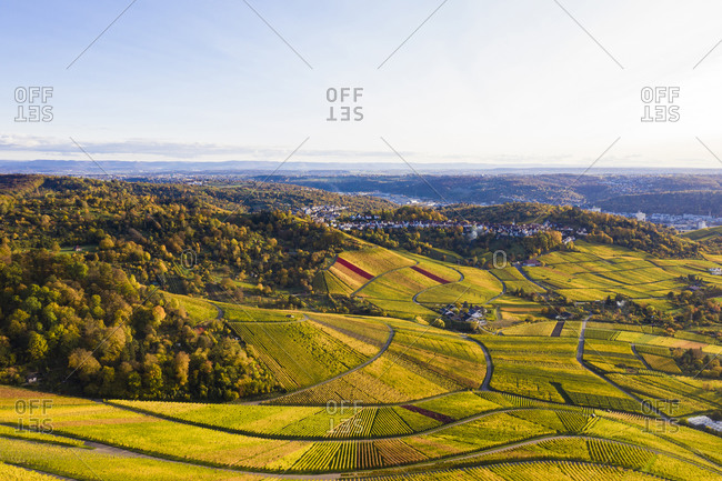 Germany- Baden-Wurttemberg- Rotenberg- Aerial view of vast countryside vineyards at autumn dusk