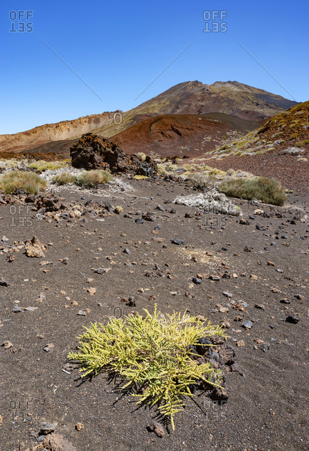 Volcanic landscape of Tenerife island