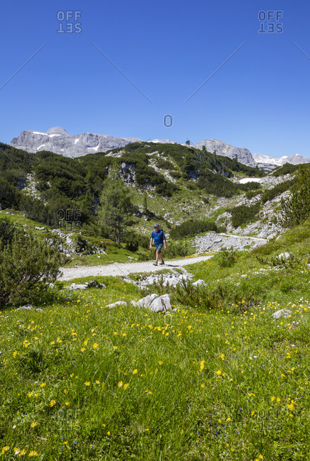 Senior man hiking in Hoher Dachstein during summer