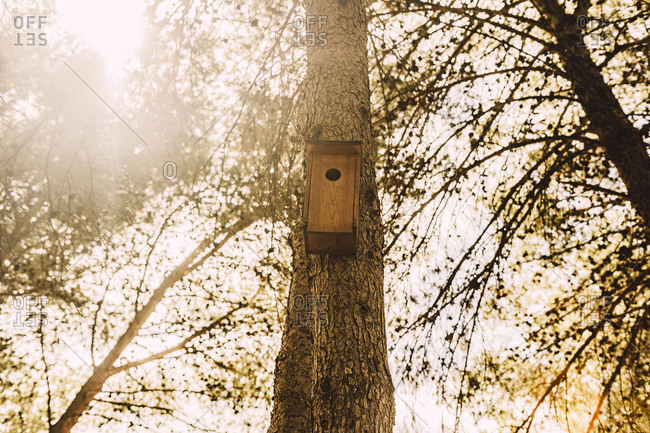 Wooden birdhouse on tree trunk in park