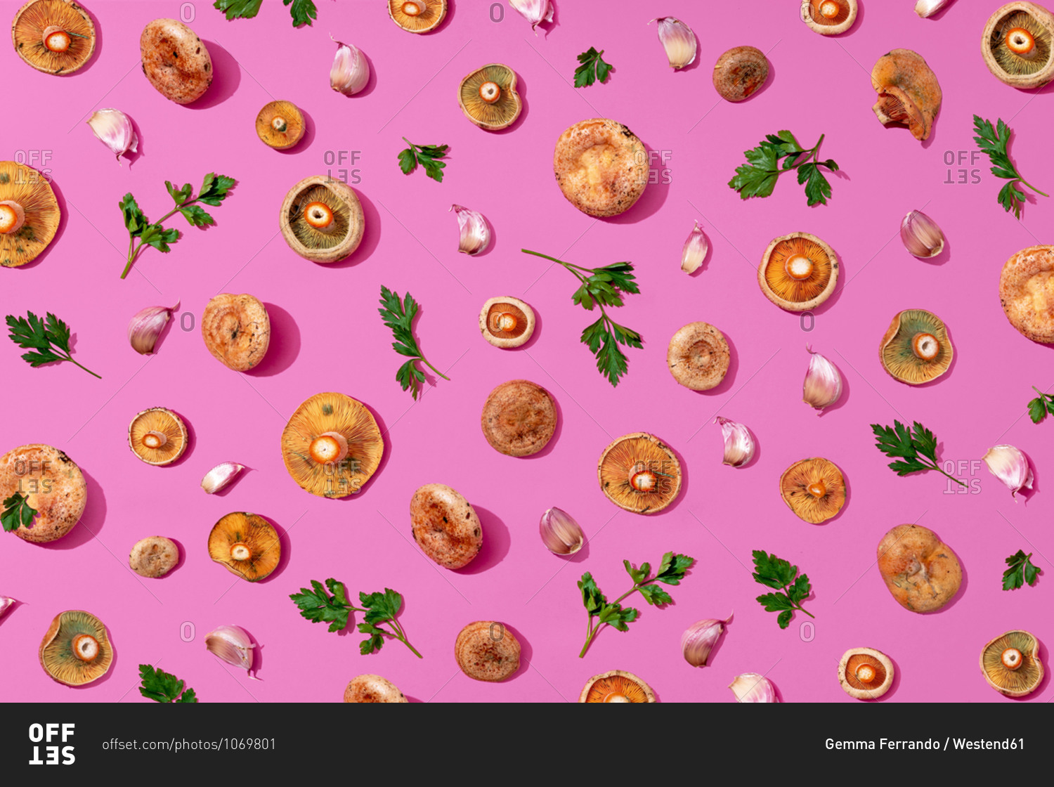 Assorted mushrooms- parsley and garlic on pink background