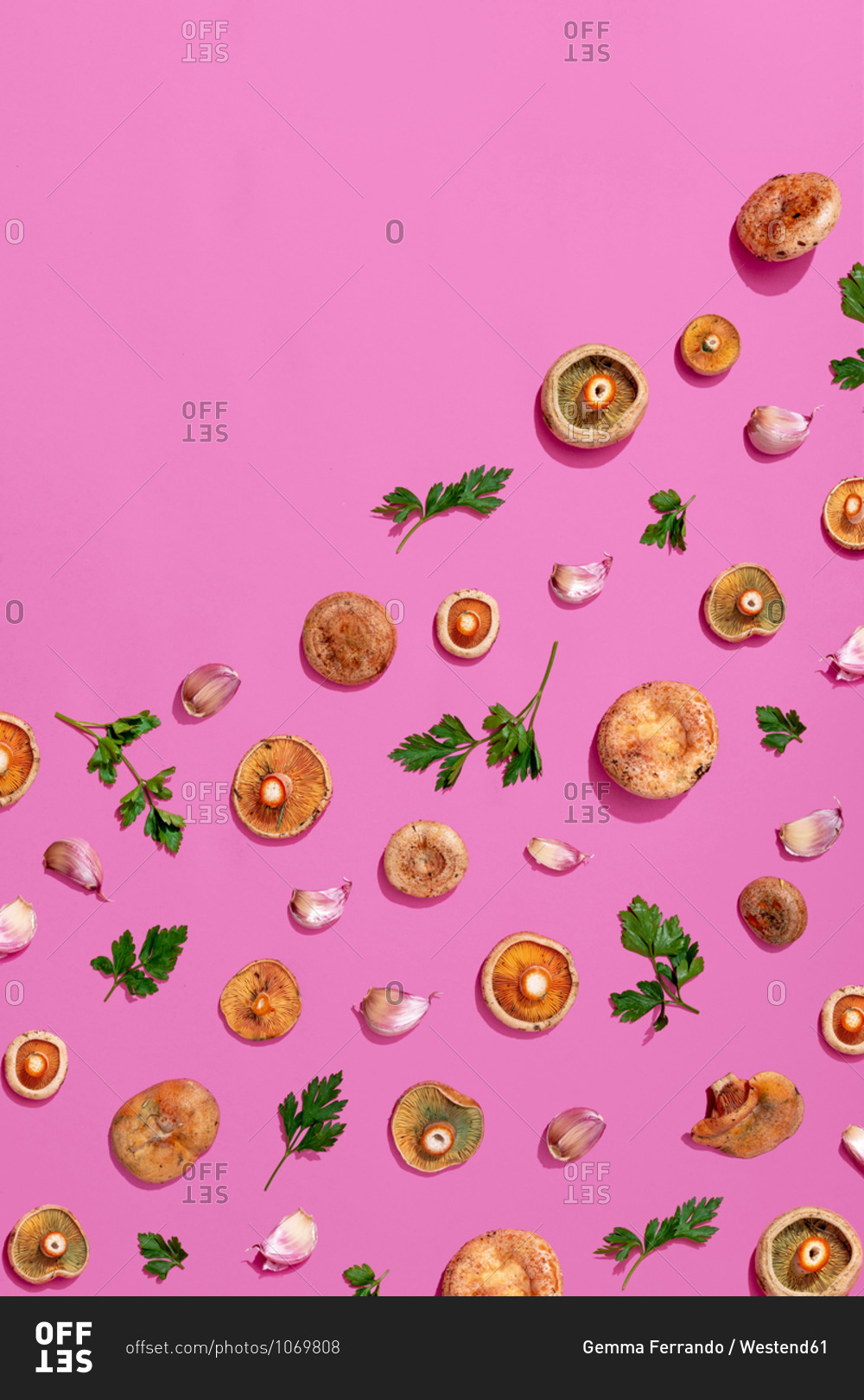 Pattern of mushroom- parsley and garlic assorted on pink background