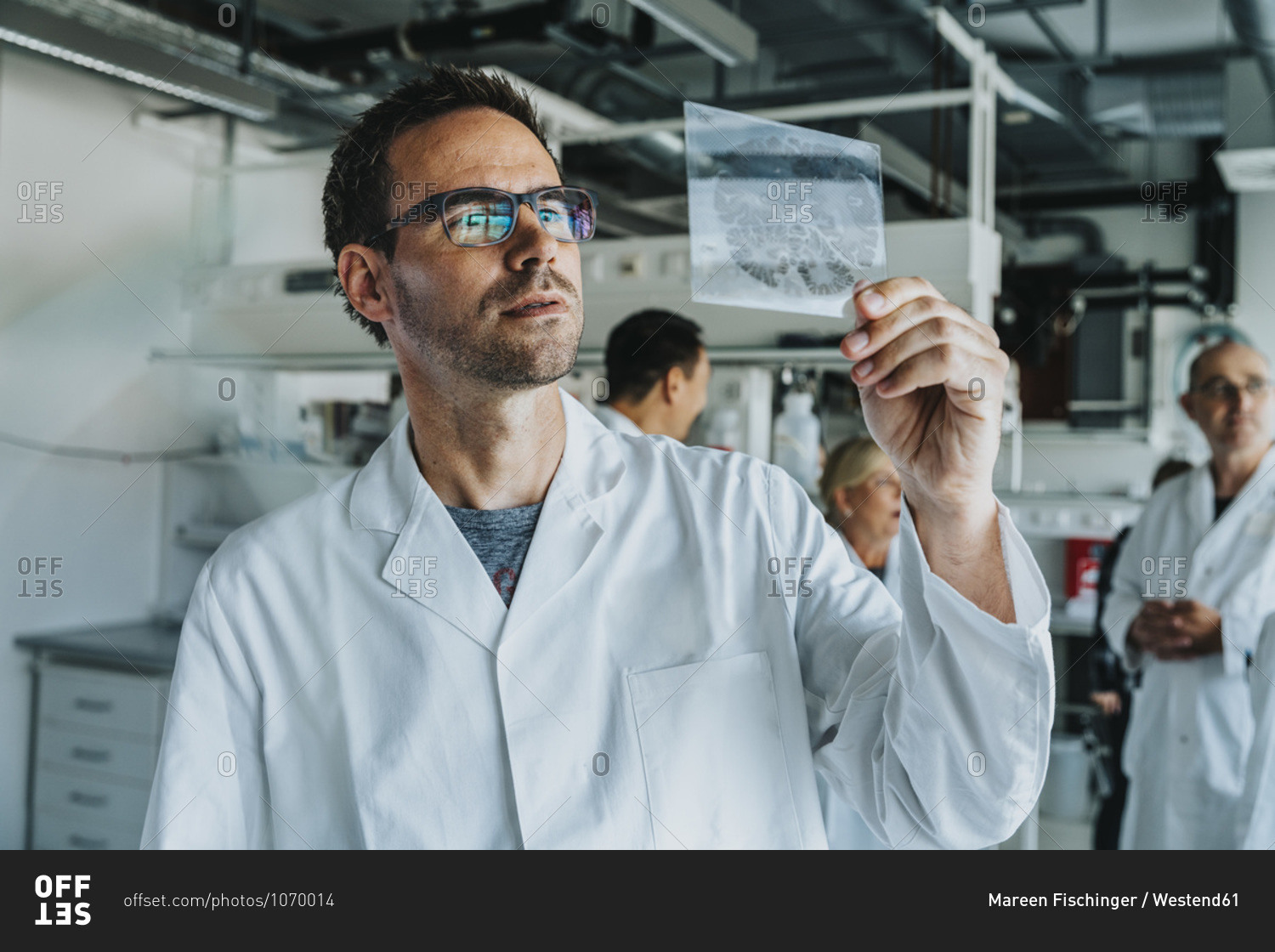 Male scientist examining human brain slide while standing with coworker in laboratory