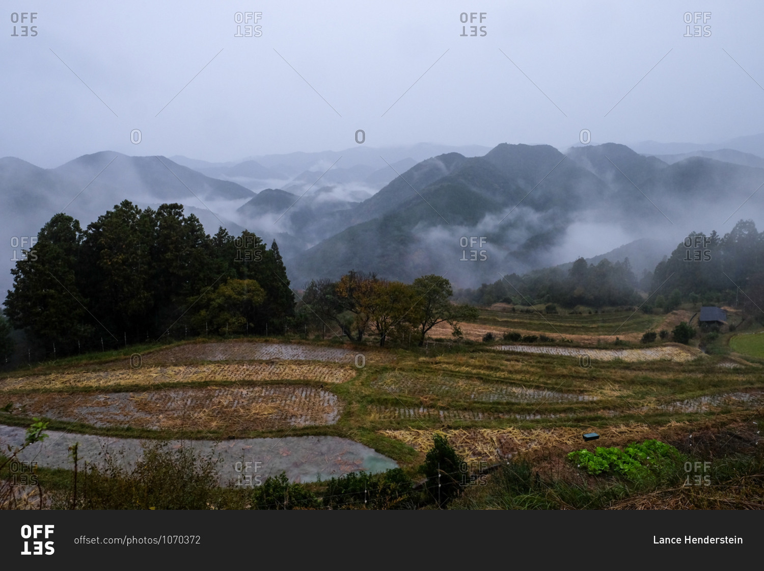Bird\'s eye view over rice paddies with foggy mountains in the distance in Wakayama, Japan
