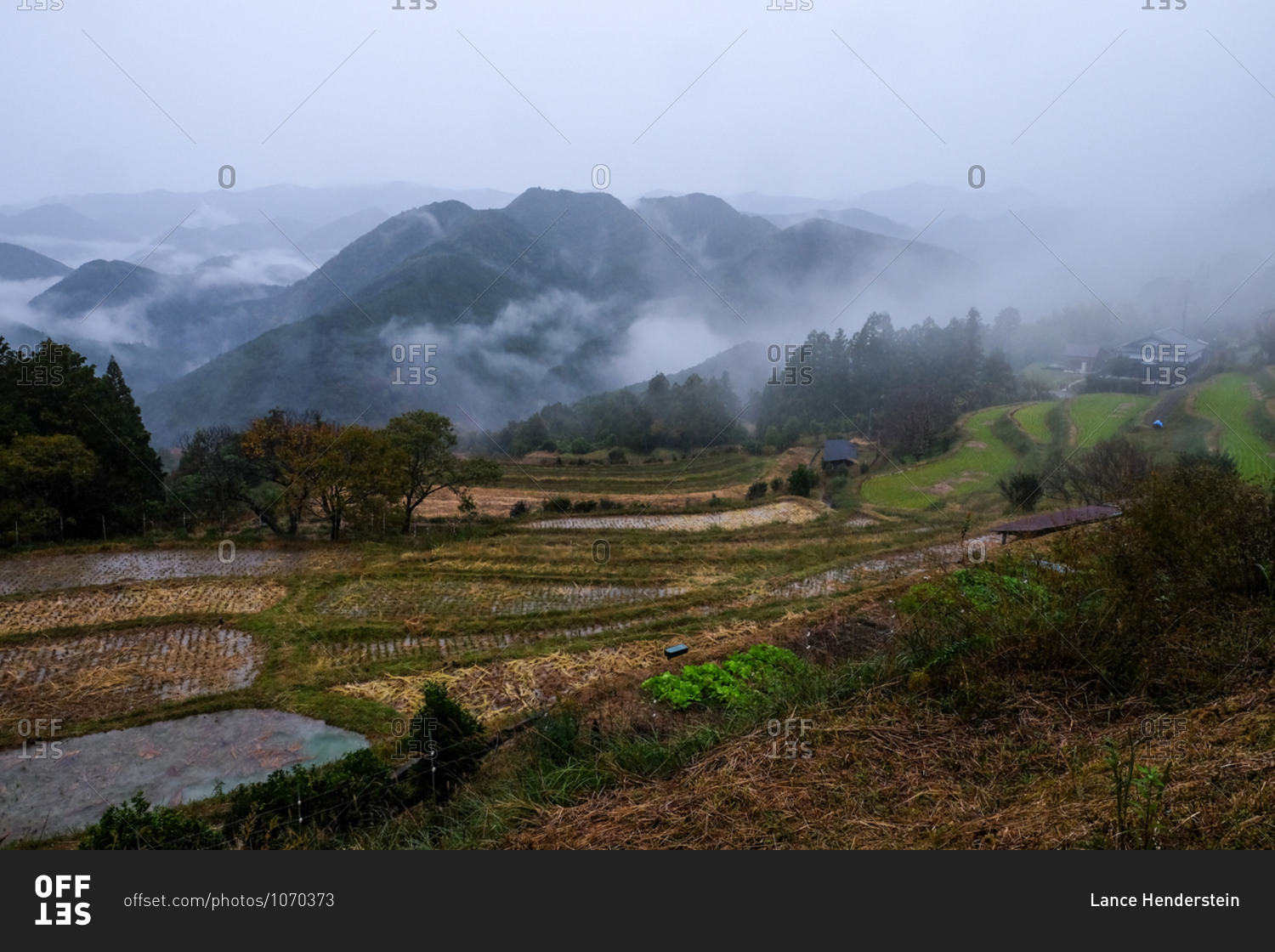 View over rice paddies with foggy mountains in the distance in Wakayama, Japan