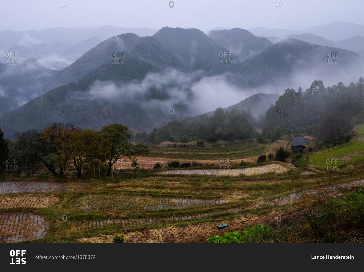 Foggy mountain landscape with rice paddies in the foreground in Wakayama, Japan
