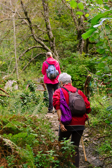 Back view of unrecognizable female elderly hikers with backpack while travelling together near greenery plants in Asturias
