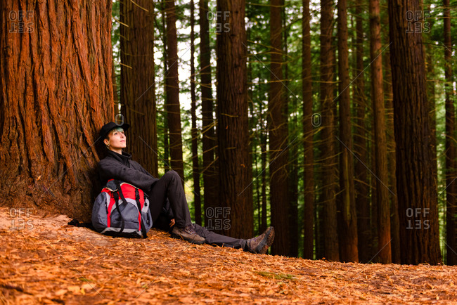 Delighted explorer with backpack sitting near huge tree in forest and resting during trekking in Monte Cabezon Natural Monument of Sequoias while looking up