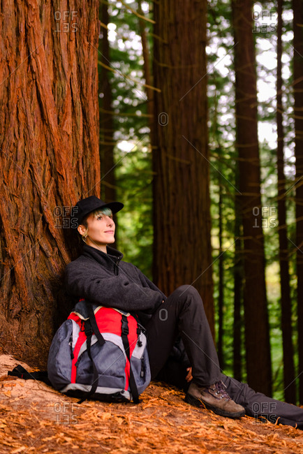 Delighted explorer with backpack sitting near huge tree in forest and resting during trekking in Monte Cabezon Natural Monument of Sequoias while looking up