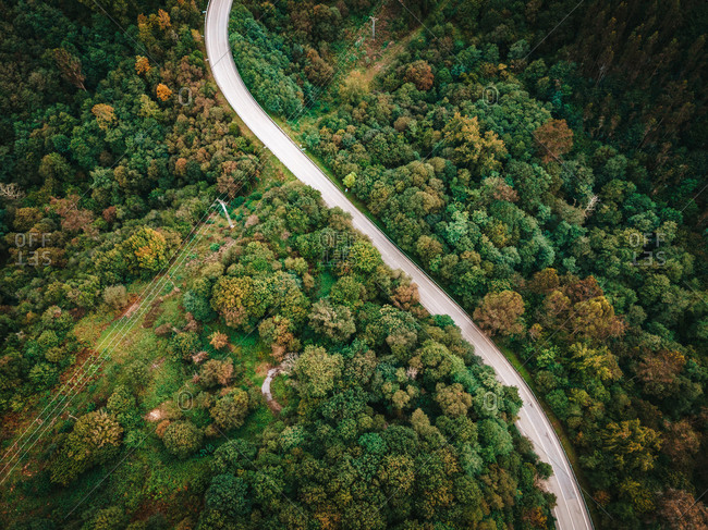 Spectacular drone view of roadway with driving cars leading through amazing green woods