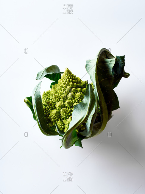 Romanesco broccoli cabbage on white background