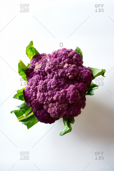 Purple cauliflower head on white background