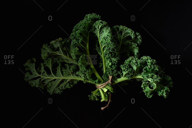 Green curvy kale on black background