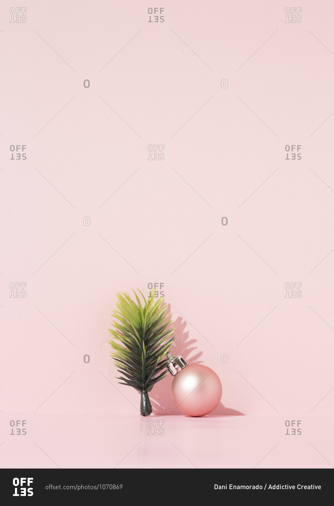 Decorative spruce branch and shiny Christmas ball arranged on pink  background in studio