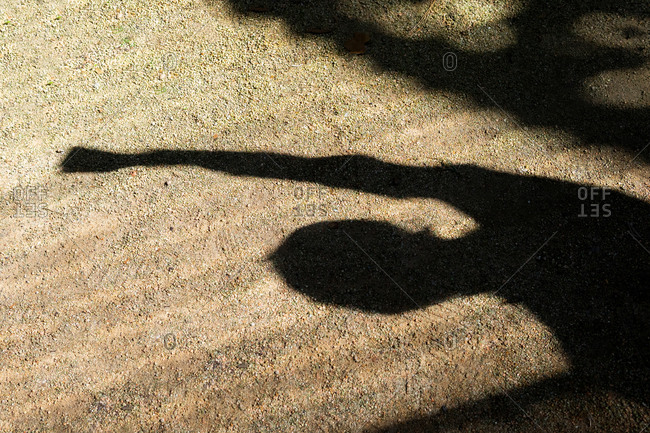 Shadow of anonymous person with raised arm celebrating victory and rejoicing on sunny day in summer