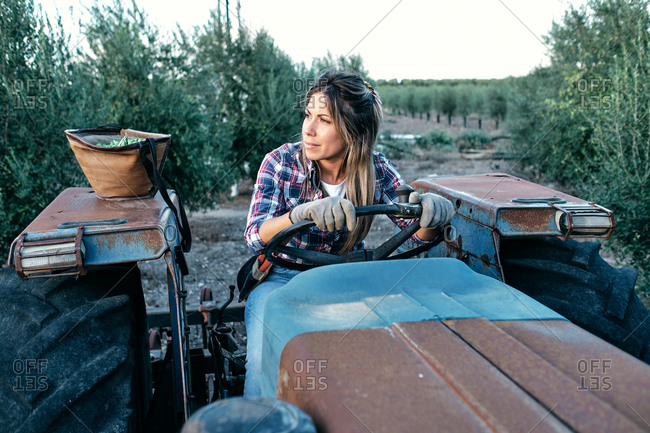 Satisfied adult female farmer sitting on agricultural machine during harvesting season on olive plantation