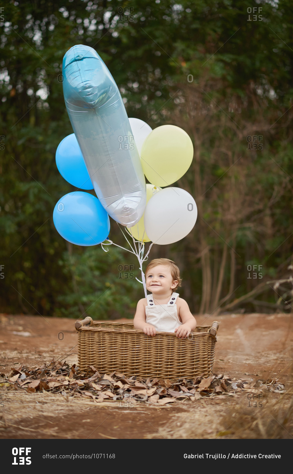 Cheerful toddler child sitting in wicker basket with bright balloons on sandy land while celebrating birthday and looking up
