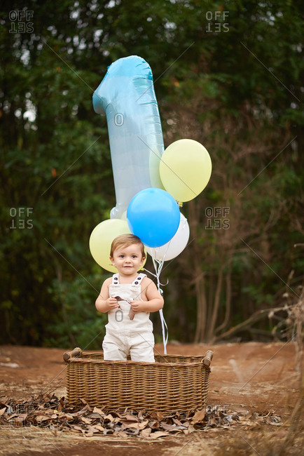 Cheerful toddler child sitting in wicker basket with bright balloons on sandy land while celebrating birthday and looking at camera