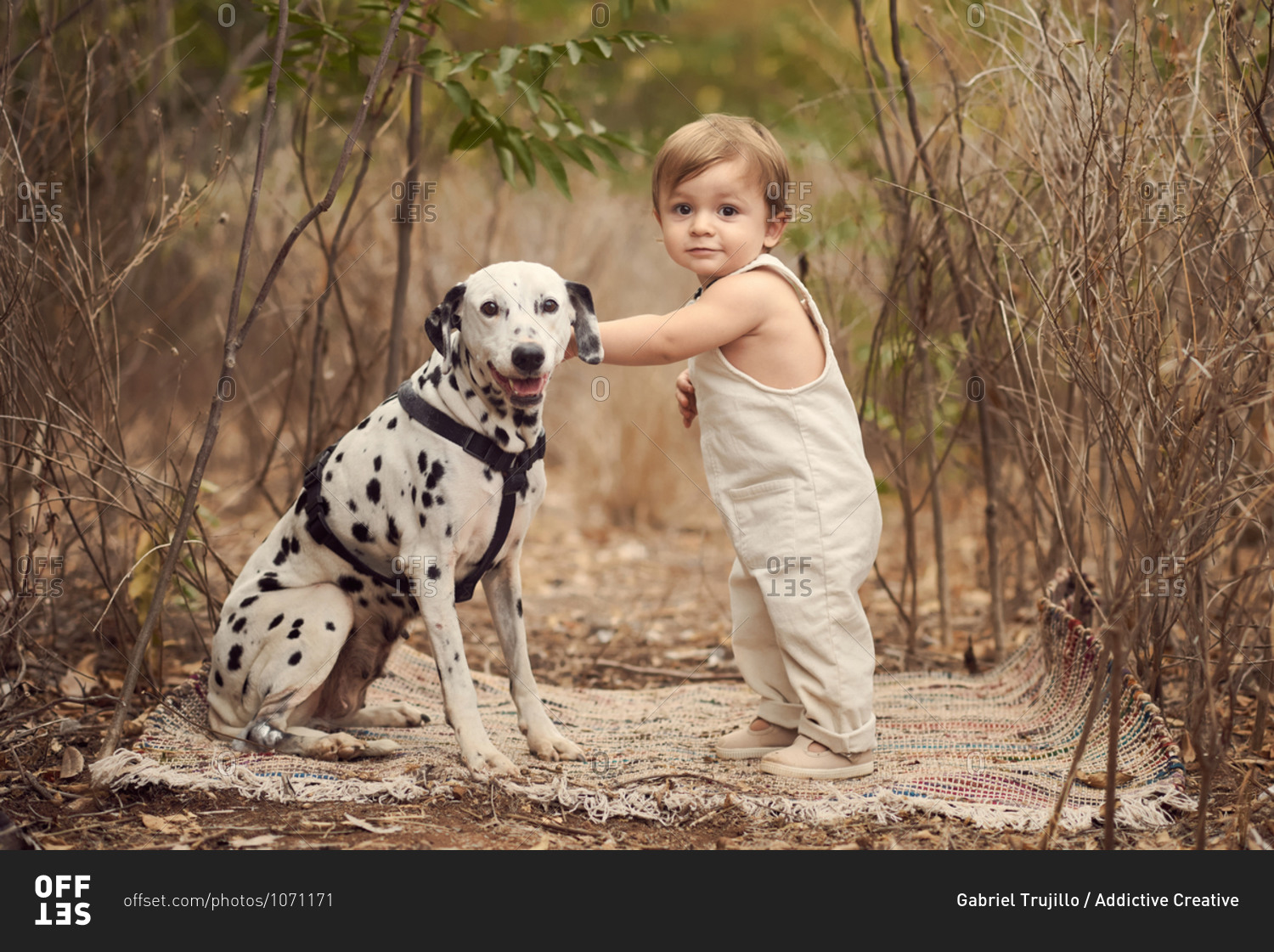 Side view full body of adorable toddler in overall standing petting Dalmatian dog near tall plants while smiling and looking at camera