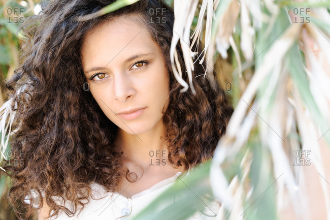 Flirty young ethnic mixed race female with curly hair looking at camera standing in foliage of verdant tree looking at camera