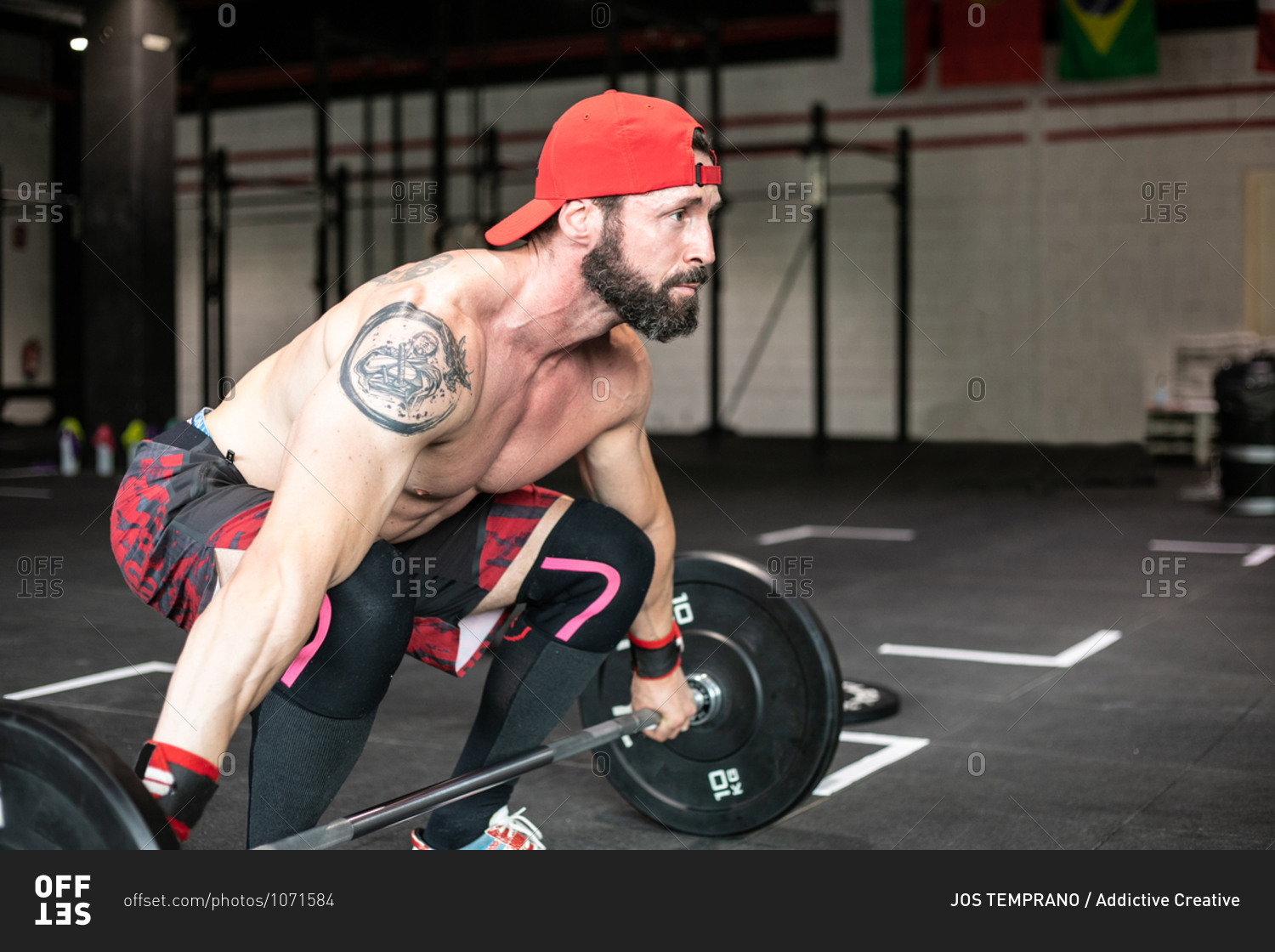 Side view of muscular focused shirtless male athlete doing clean and jerk exercise with barbell during weightlifting training in gym