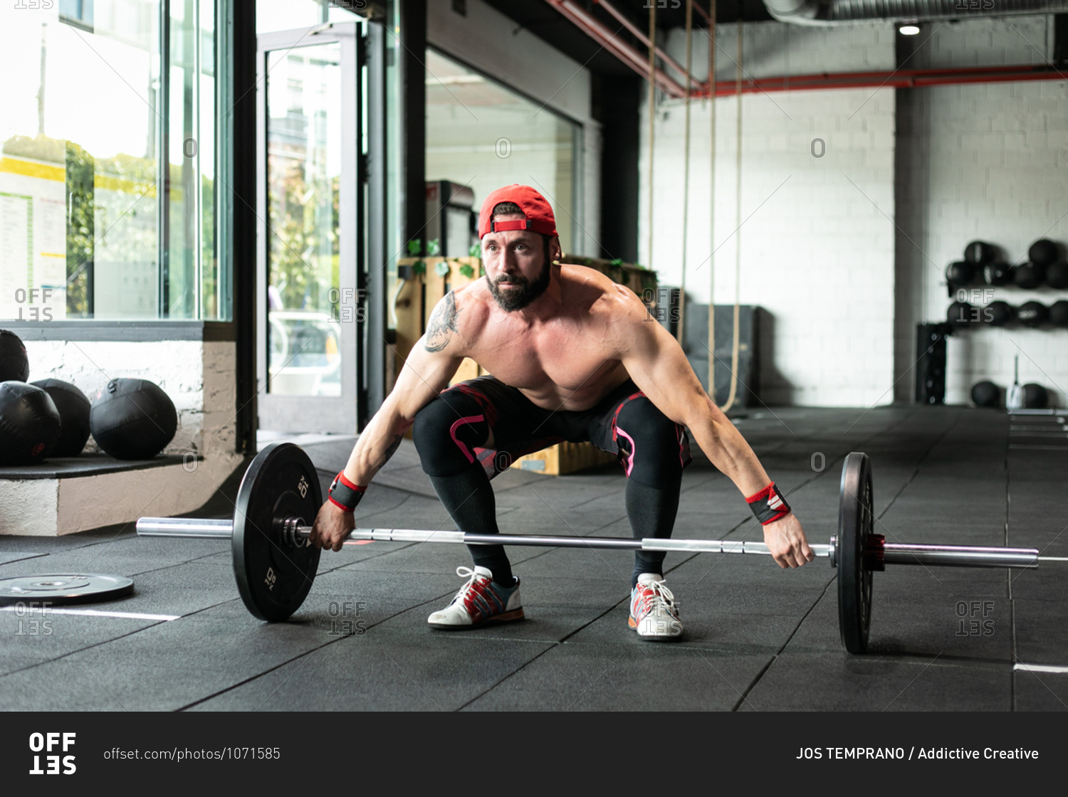 Muscular focused shirtless male athlete doing clean and jerk exercise with barbell during weightlifting training in gym looking away