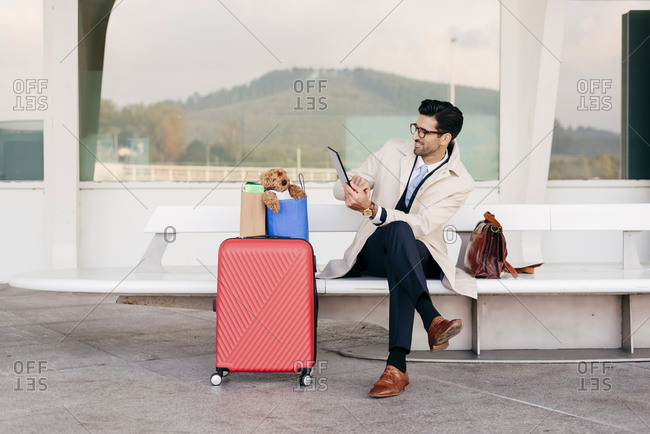 Confident man with hairstyle in stylish formal clothes with suitcase and shopping bags sitting on bench near airport and using tablet