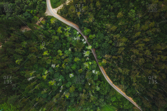 Aerial view of wavy roadway surrounded by colorful woods growing in Euskadi in Spain