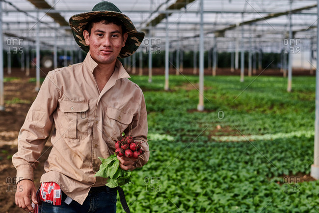 Cheerful male farmer standing in greenhouse with bunch of fresh delicious radish and looking at camera