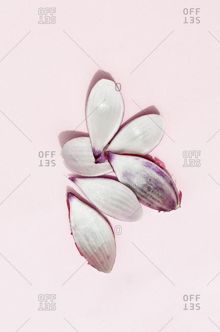 Top view of tender flower petals with rounded edges and pleasant aroma on light background