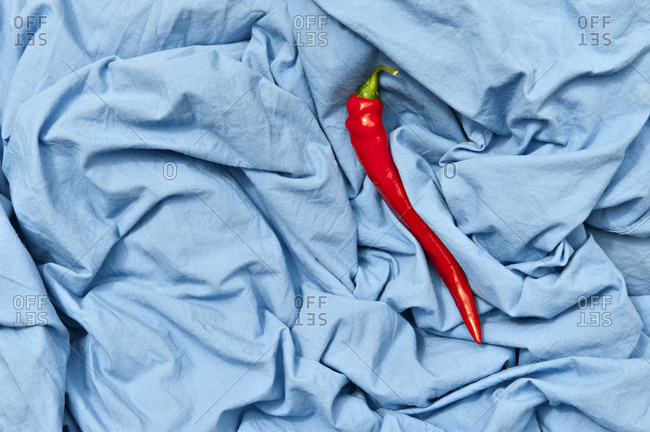 Overhead view of bright hot pepper with shiny peel on creased blue textile